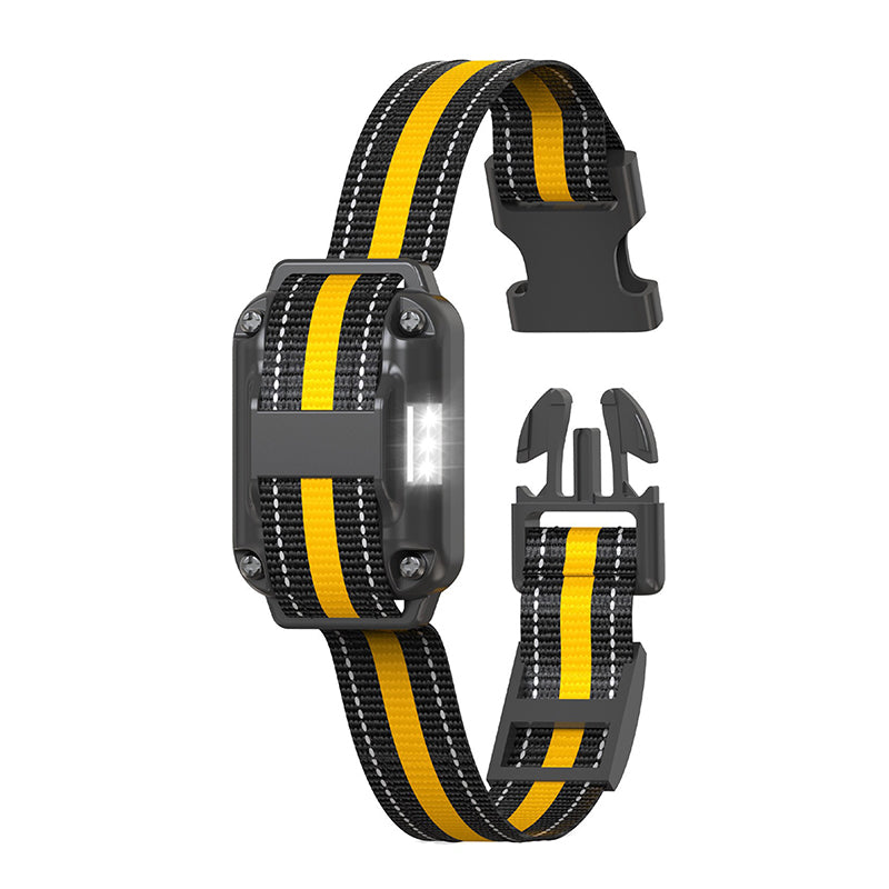 Waterproof Dog Training Collar with Remote