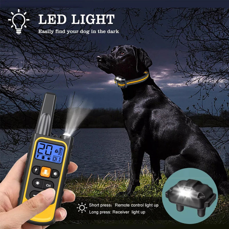 Waterproof Dog Training Collar with Remote