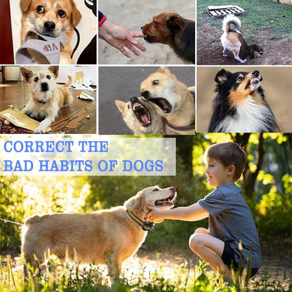 Waterproof Dog Training Collar with Remote