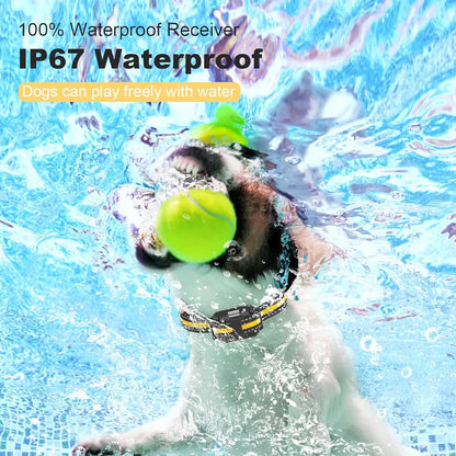 Waterproof Dog Training Collar with Remote